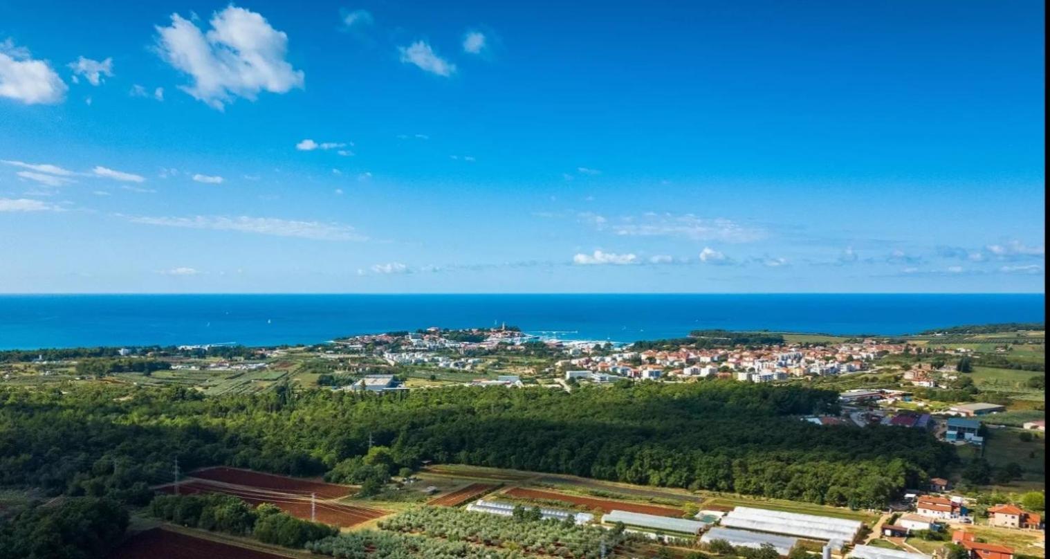 Villa Mimosa Novigrad Istria Eksteriør bilde