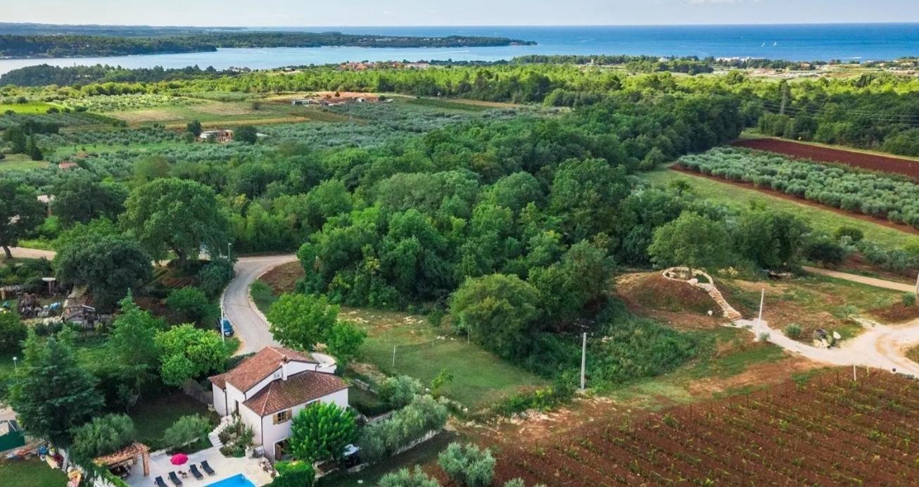 Villa Mimosa Novigrad Istria Eksteriør bilde