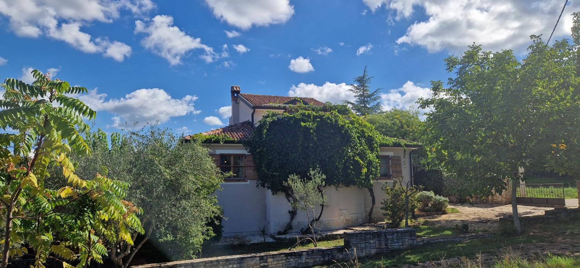 Villa Mimosa Novigrad Istria Eksteriør bilde