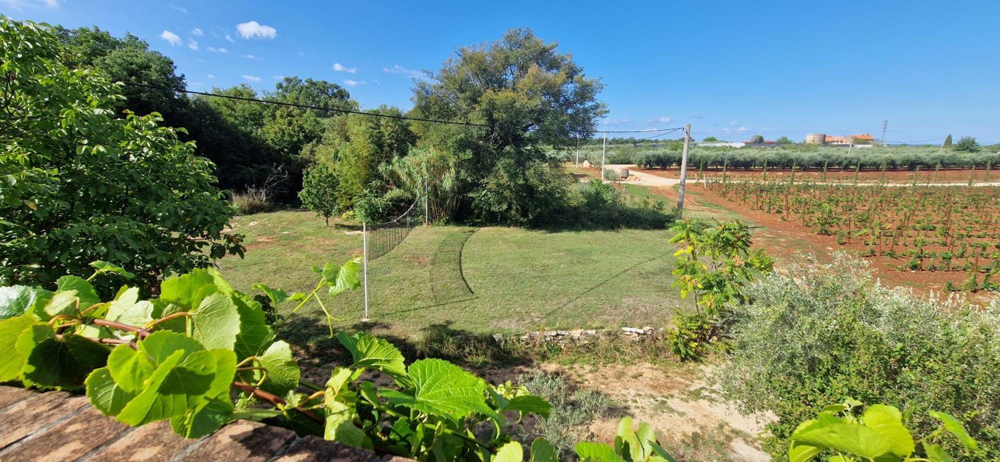 Villa Mimosa Novigrad Istria Eksteriør bilde